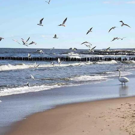 Lejlighed Poppy Kołobrzeg