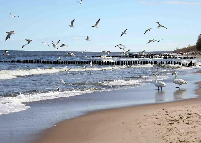 Lejlighed Poppy Kołobrzeg